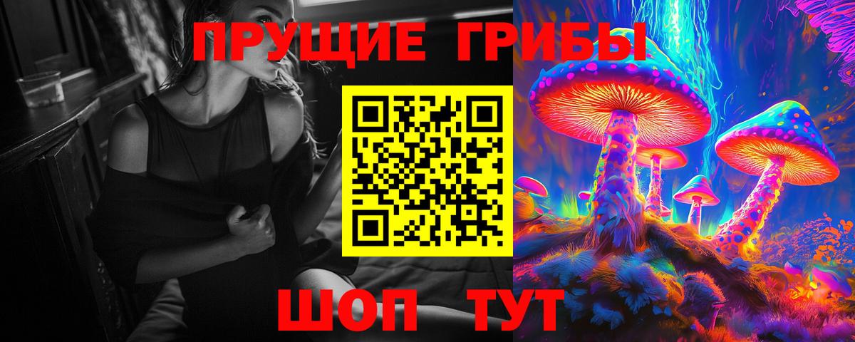 Псилоцибиновые грибы прущие грибы  Вход с VPN  Каменск-Шахтинский 